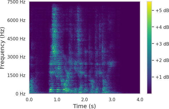 Spectrum 8